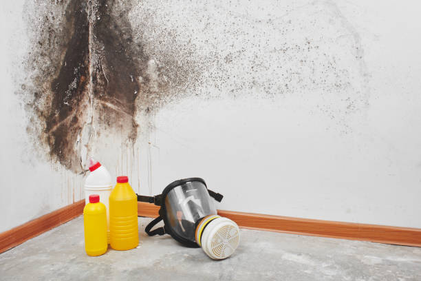 Best Attic Mold Removal  in Huguley, AL