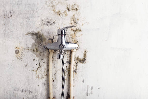 Best Mold Cleaning Services  in Huguley, AL