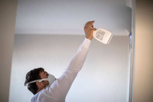 Best Toxic Mold Removal  in Huguley, AL