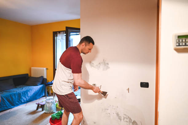 Best Mold Removal Company Near Me  in Huguley, AL