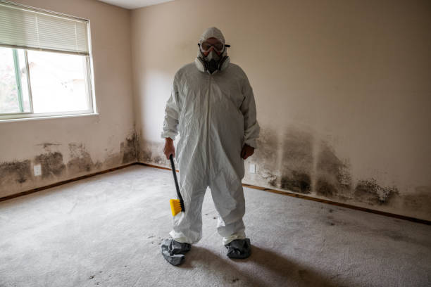 Best Residential Mold Removal  in Huguley, AL